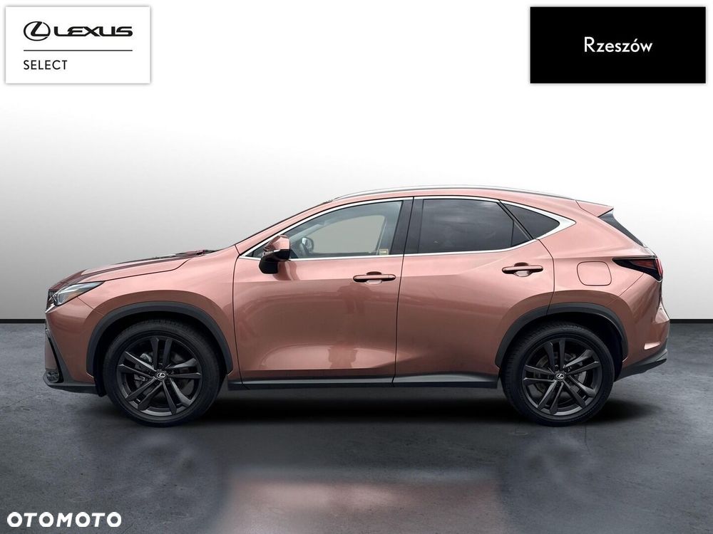 Lexus NX 350h Prestige AWD - 2