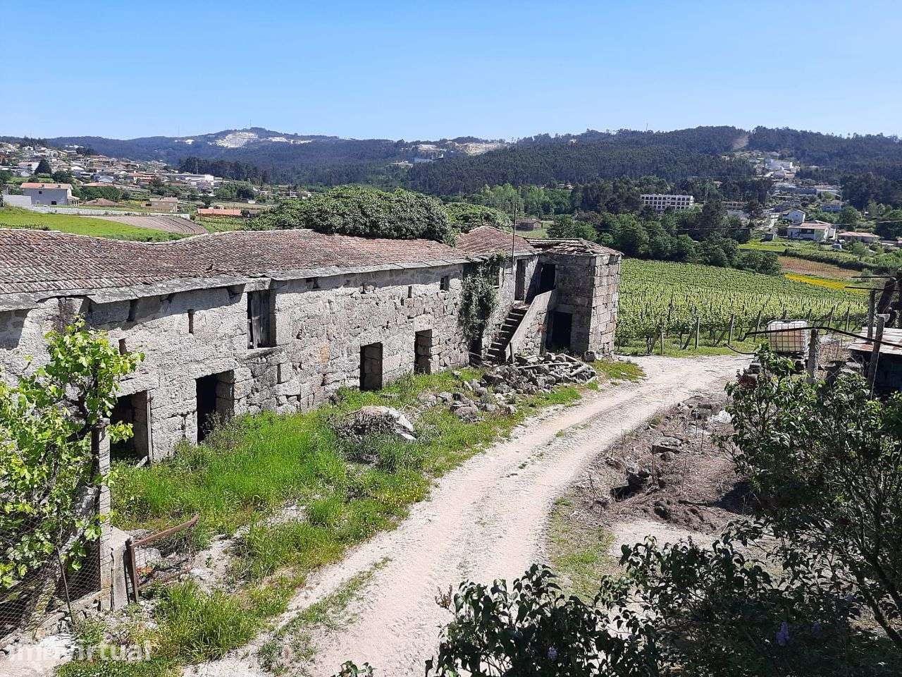 Vende Quinta 12hectares Oldrões Penafiel - Grande imagem: 5/39