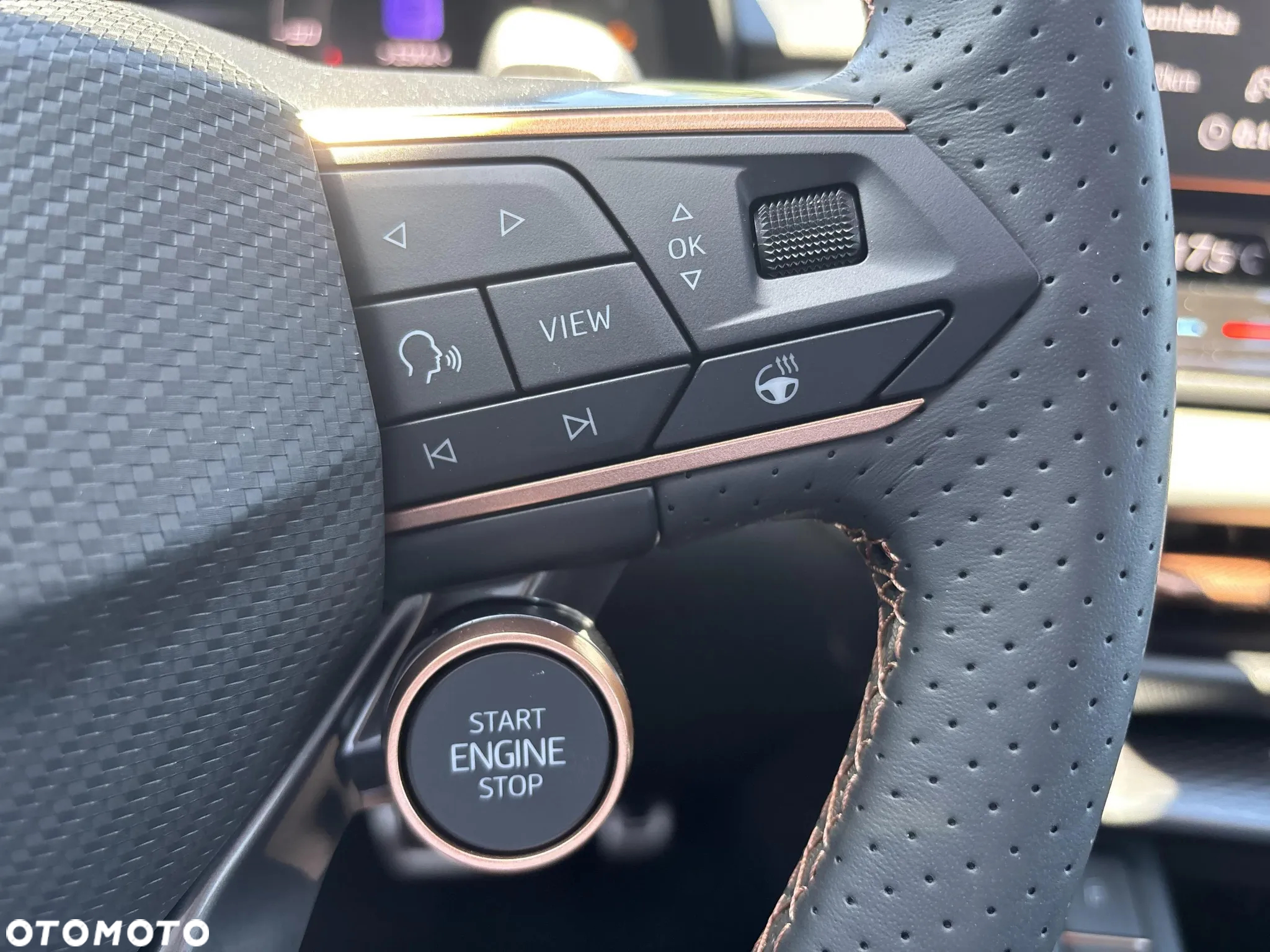 Cupra Terramar 2.0 TSI 4Drive DSG - 17