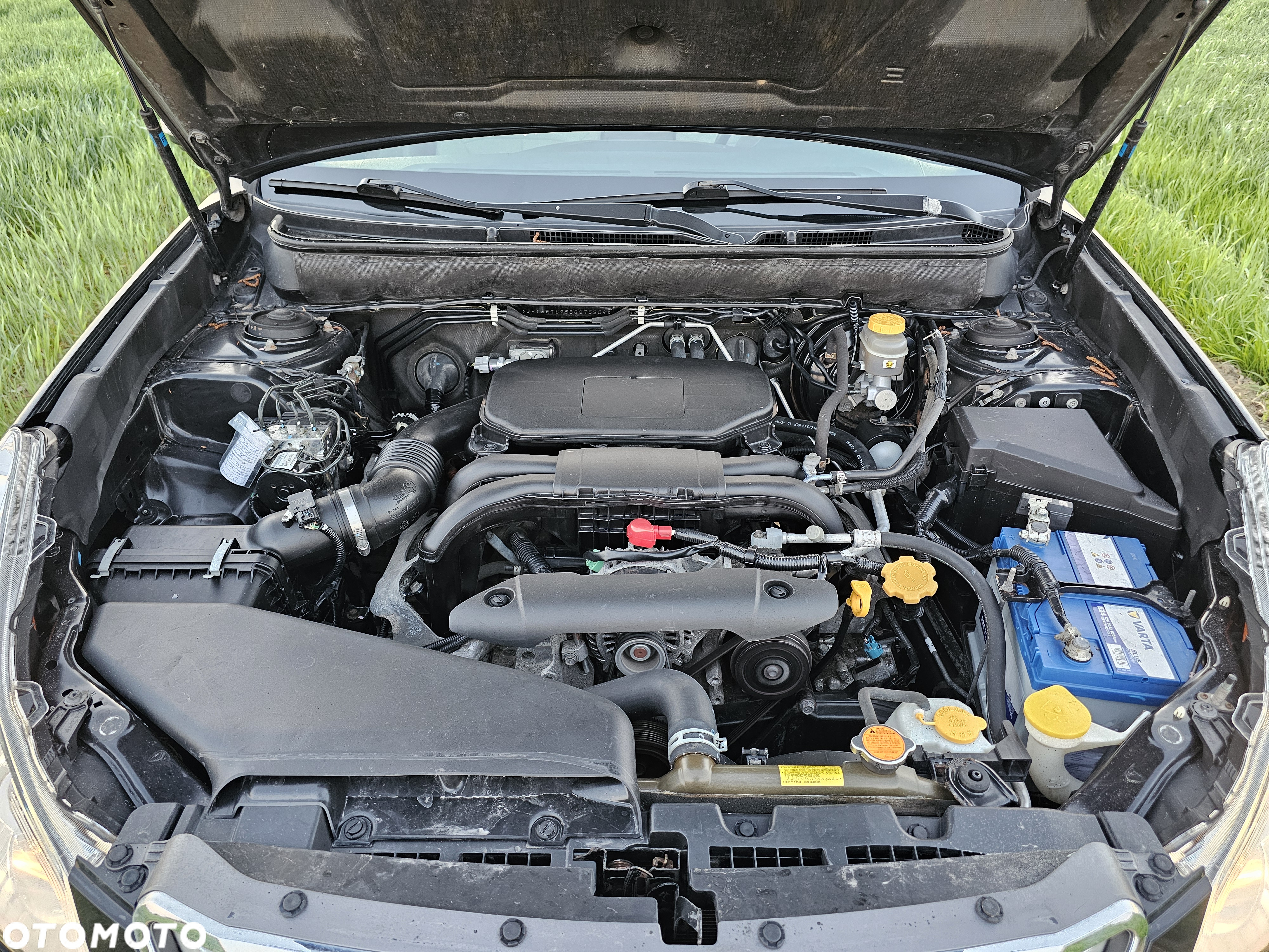 Subaru Outback - 35