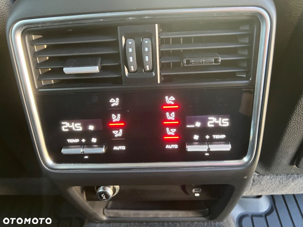 Porsche Cayenne E-Hybrid Tiptronic S Platinum Edition - 20