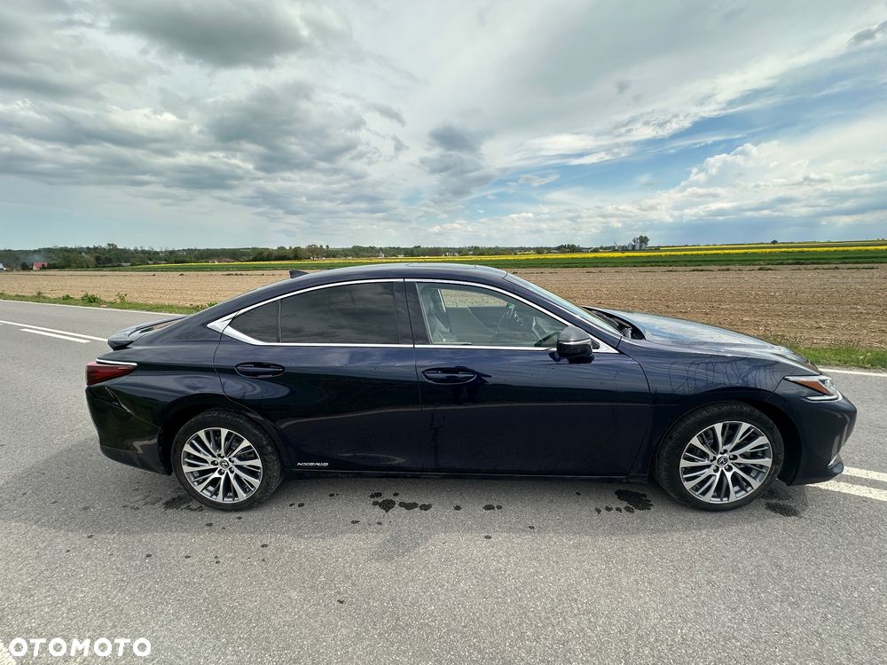 Lexus ES 300h Business Edition + - 6