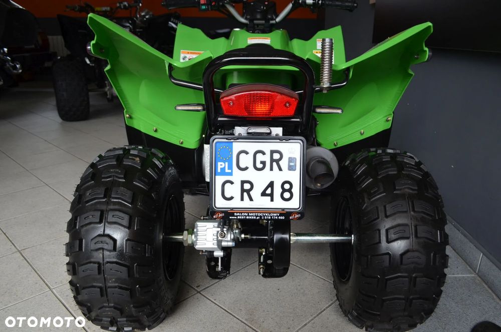 Arctic Cat Inny - 19