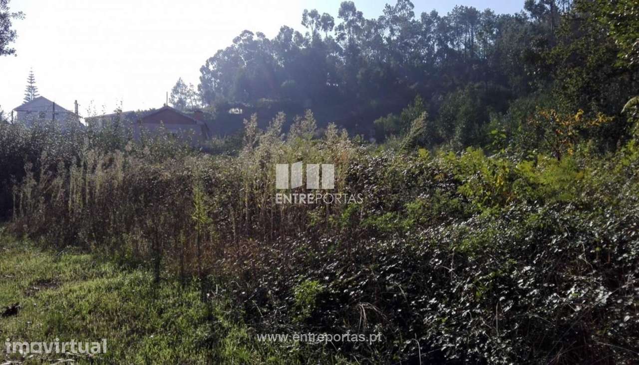 Venda de Terreno para construção, Santoinho, Viana do Castelo - Grande imagem: 3/27