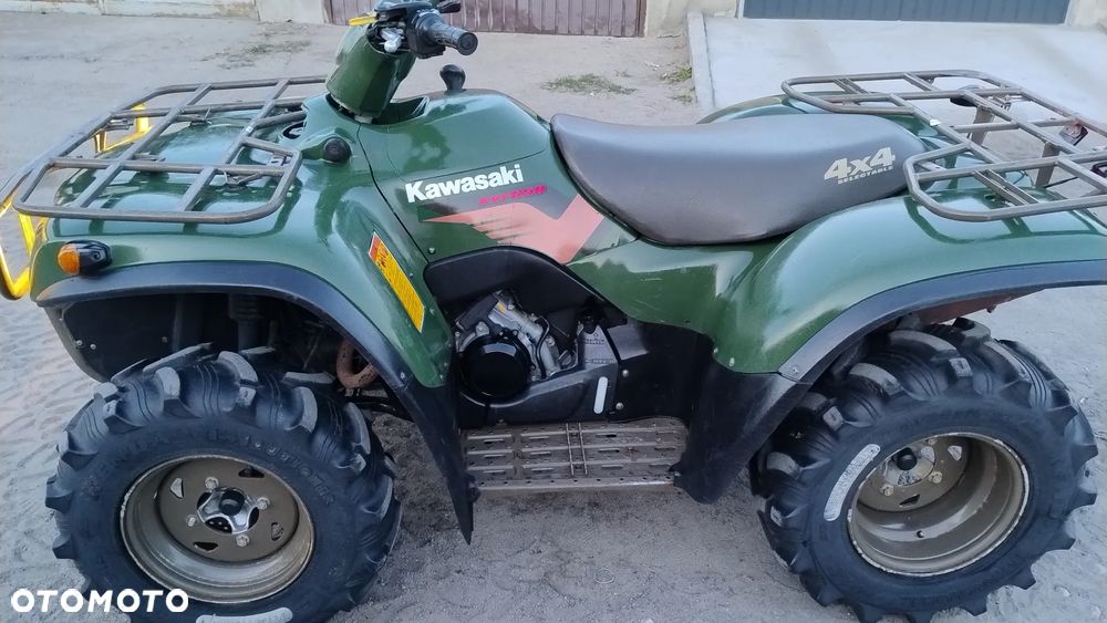 Kawasaki Brute Force - 12