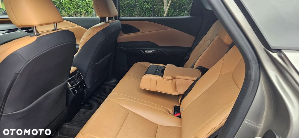 Lexus RX - 10