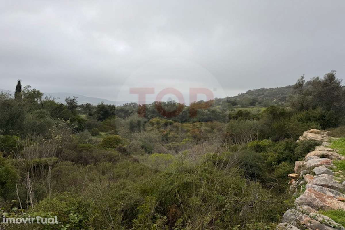 Terreno Rustico em Estoi - Grande imagem: 4/7