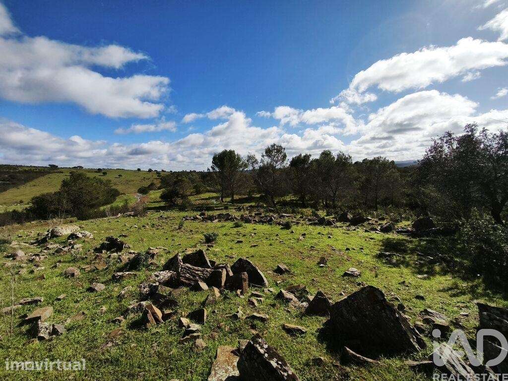 Terreno Agrícola em São Miguel do Pinheiro, São Pedro de Solis e São S - Grande imagem: 5/40