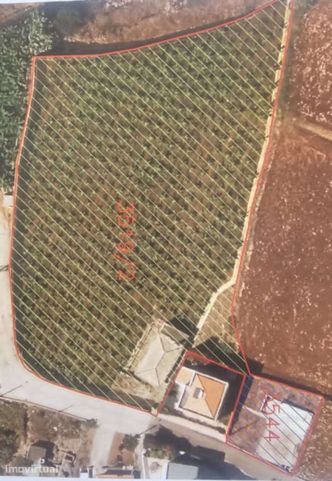 Terreno na Ponta do sol a venda - Grande imagem: 4/9