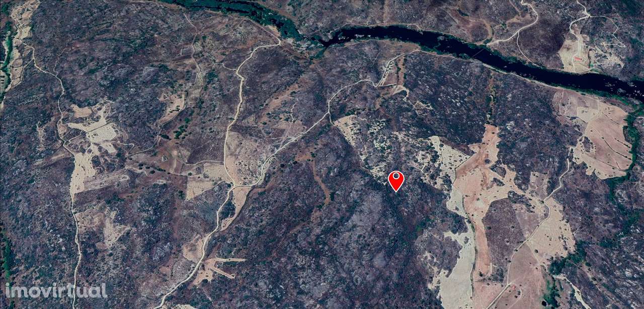 Terreno Rústico  Venda em Junça e Naves,Almeida - Grande imagem: 5/8