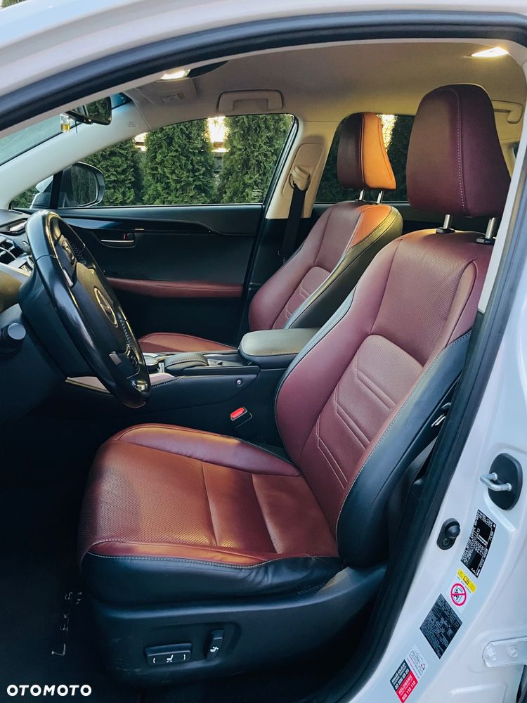 Lexus NX 300h Elegance 2WD - 2