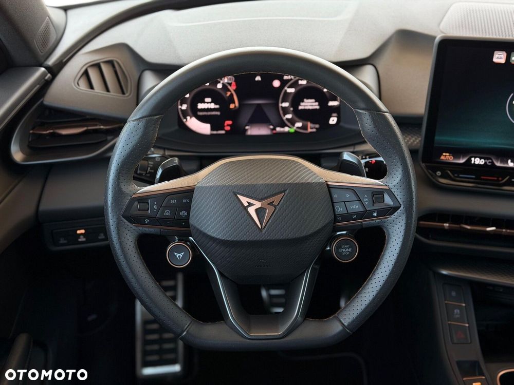 Cupra Terramar 2.0 TSI 4Drive DSG - 19