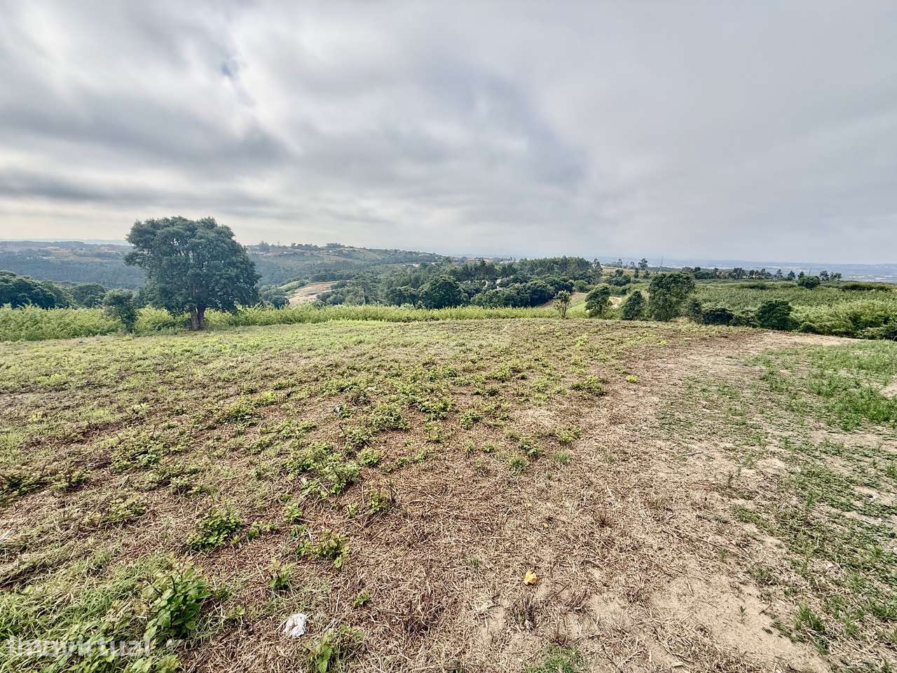 Terreno para Construção com 2.480 m2 - Usseira, Óbidos – Portugal - Grande imagem: 3/14