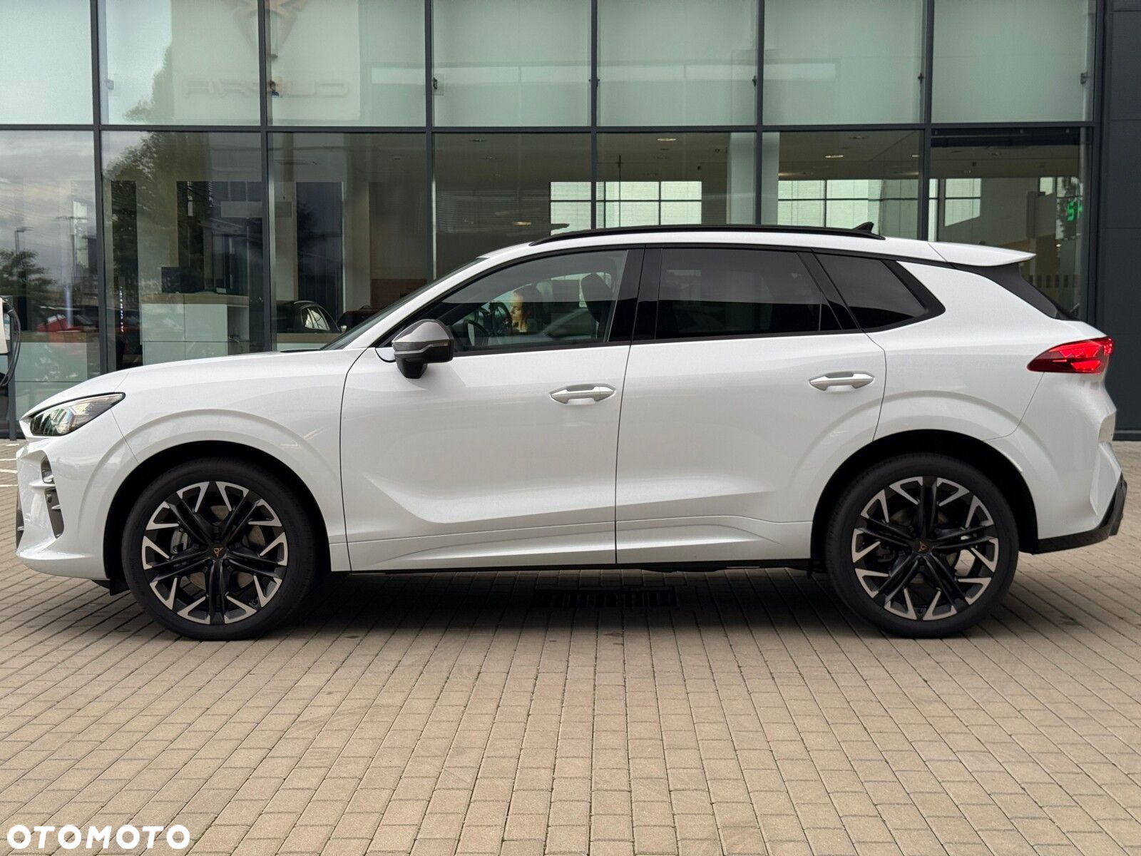 Cupra Terramar 2.0 TSI 4Drive Advantage Edition DSG - 18
