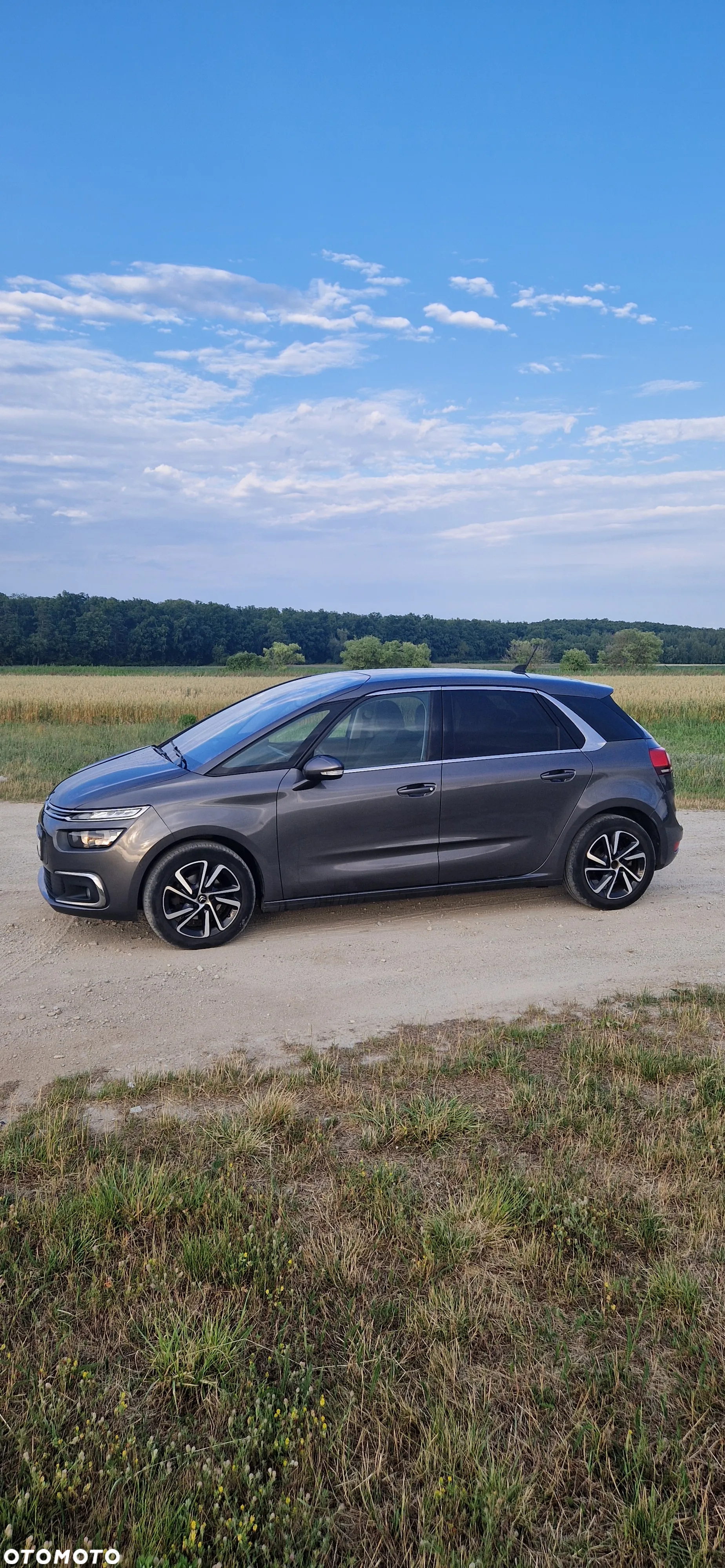 Citroën C4 Picasso - 8