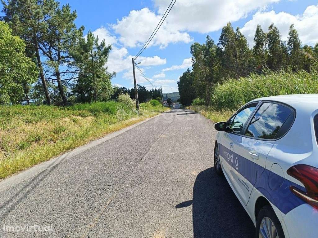 Terreno Rústico com Potencial Agrícola - Tranquilidade e Envolvênci... - Grande imagem: 3/14