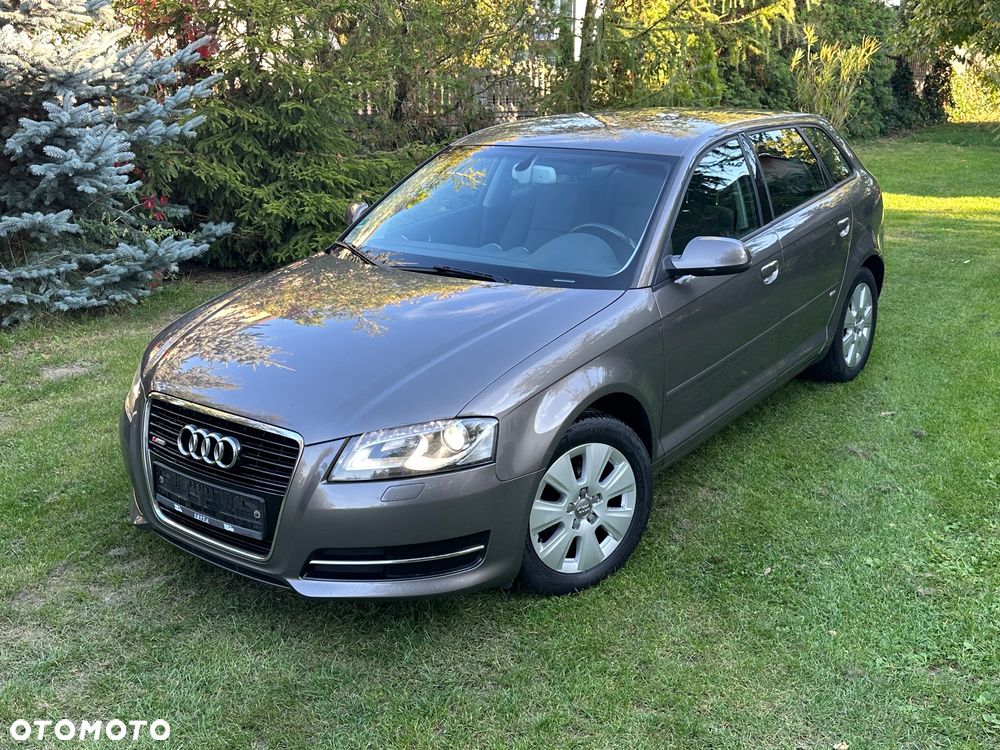 Audi A3 Sportback 1.6 TDI DPF Attraction - 29
