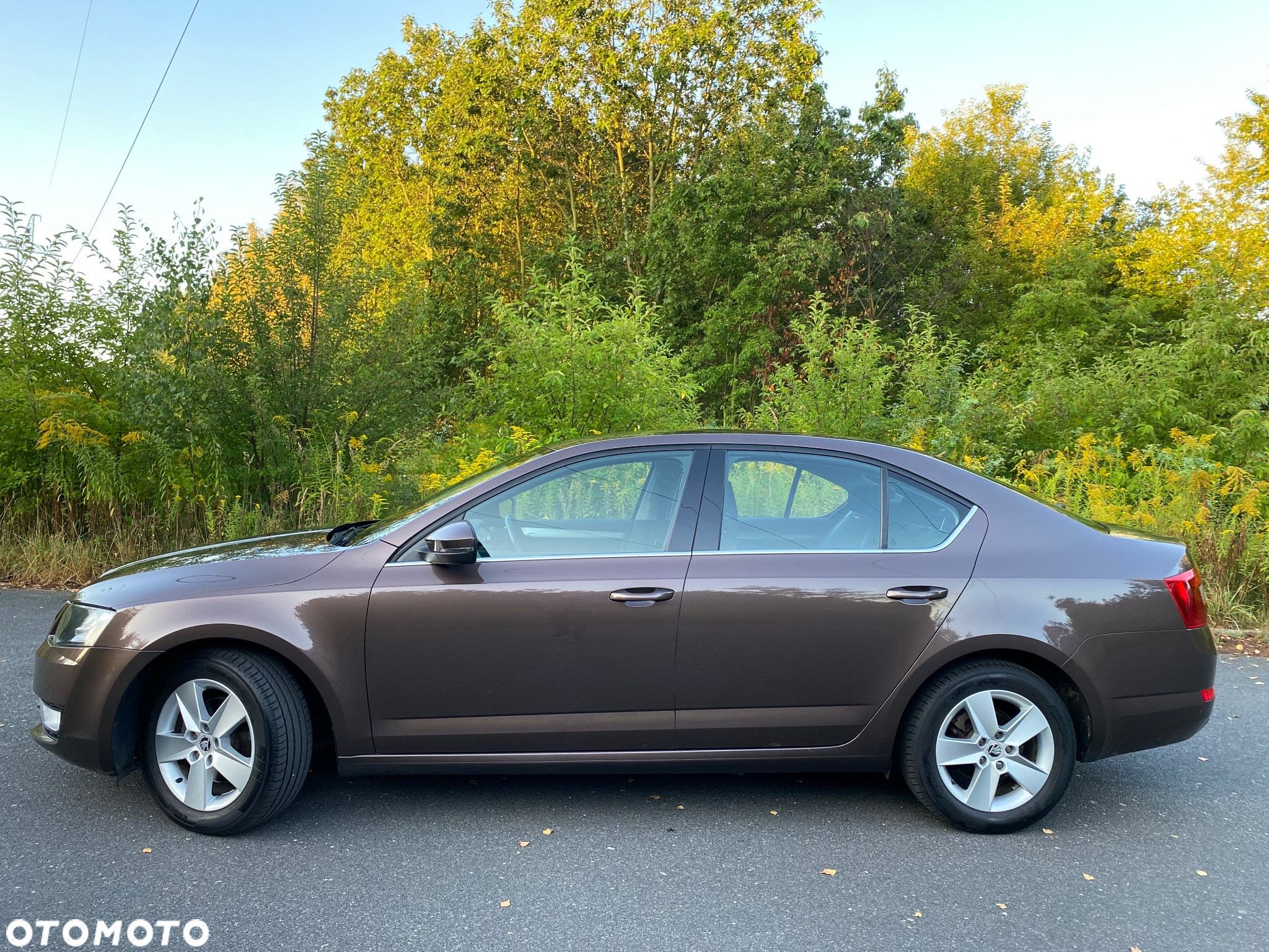Skoda Octavia 1.4 TSI Ambition - 6