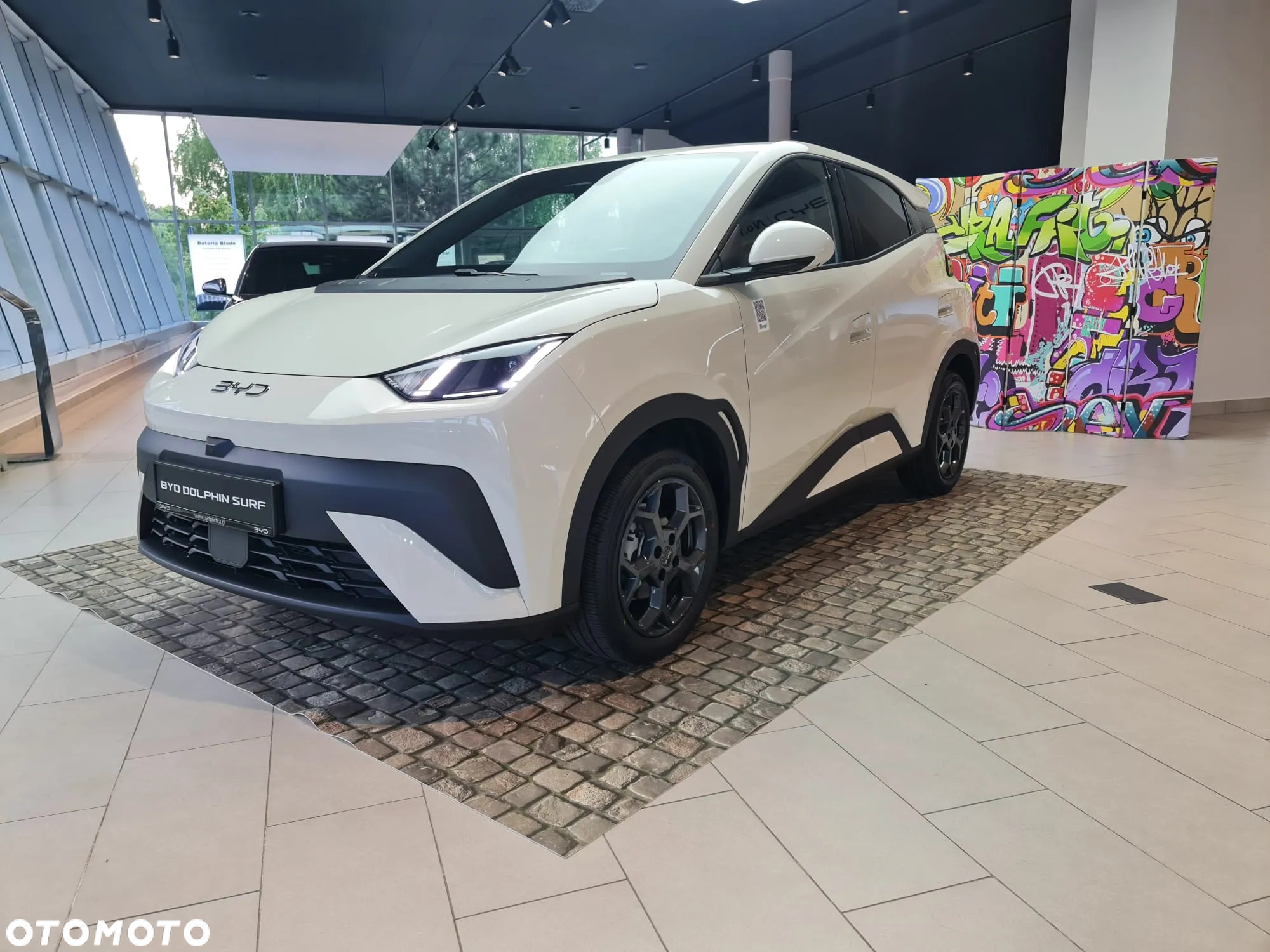BYD Dolphin Surf - 4