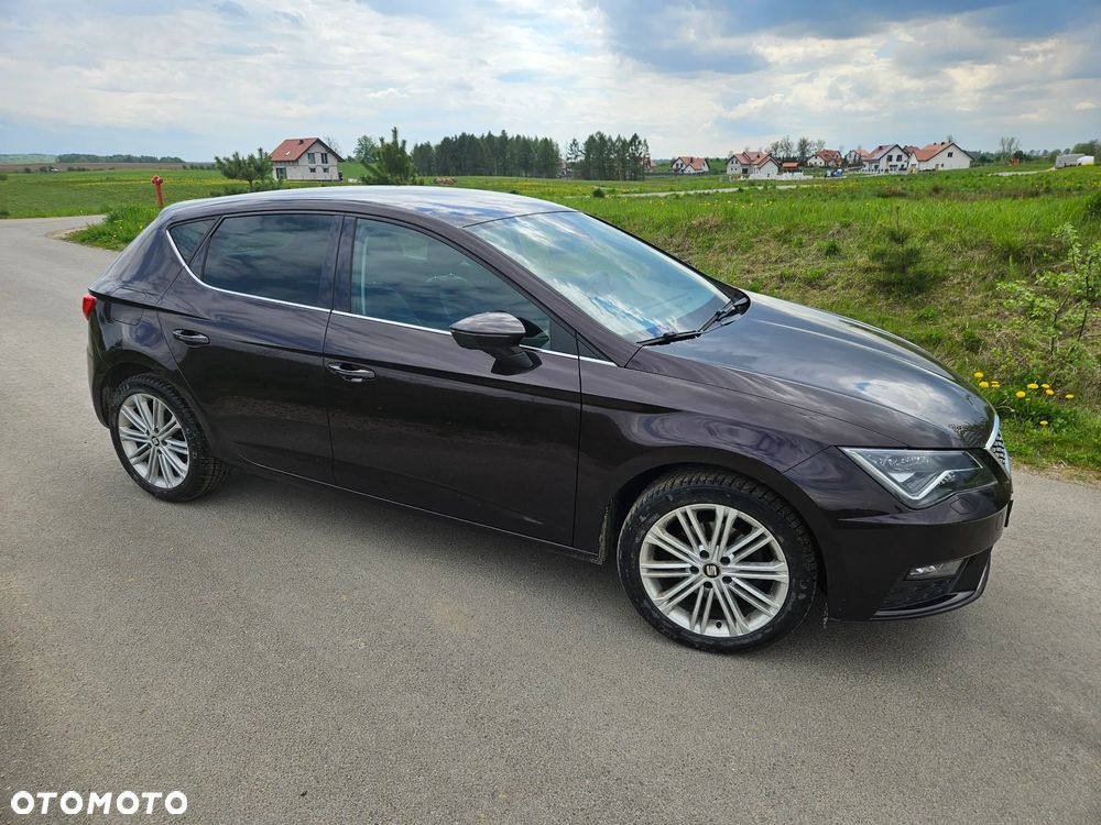 Seat Leon 1.5 EcoTSI Evo Xcellence S&S DSG - 3