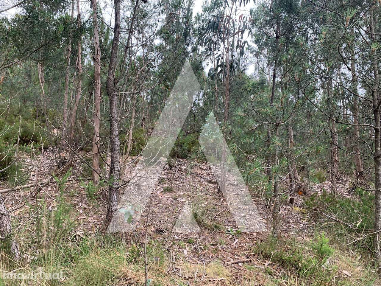 Terreno para construção de moradia isolada em São Bernardo - Grande imagem: 2/10