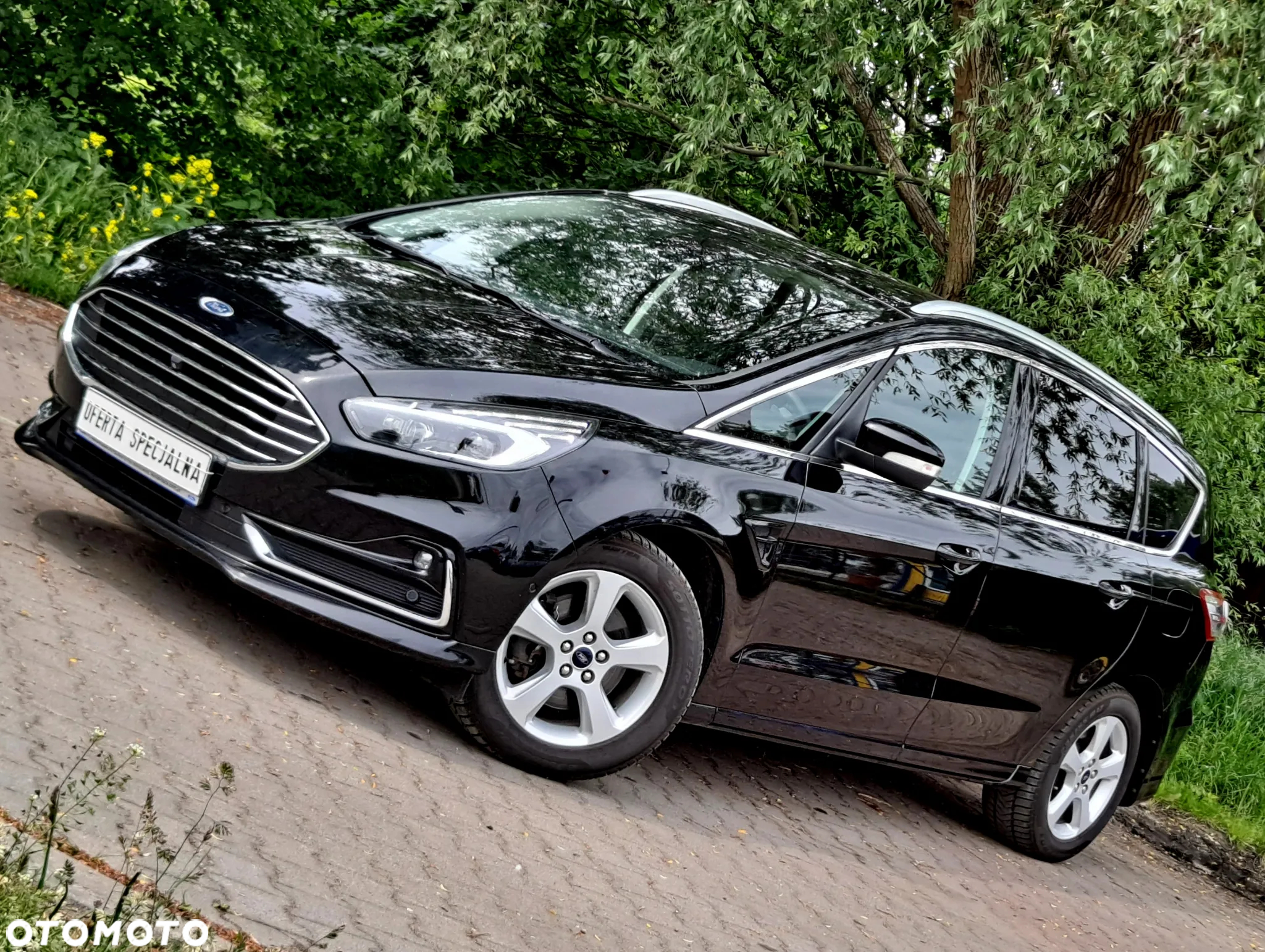 Ford S-Max 2.0 EcoBlue TITANIUM - 25
