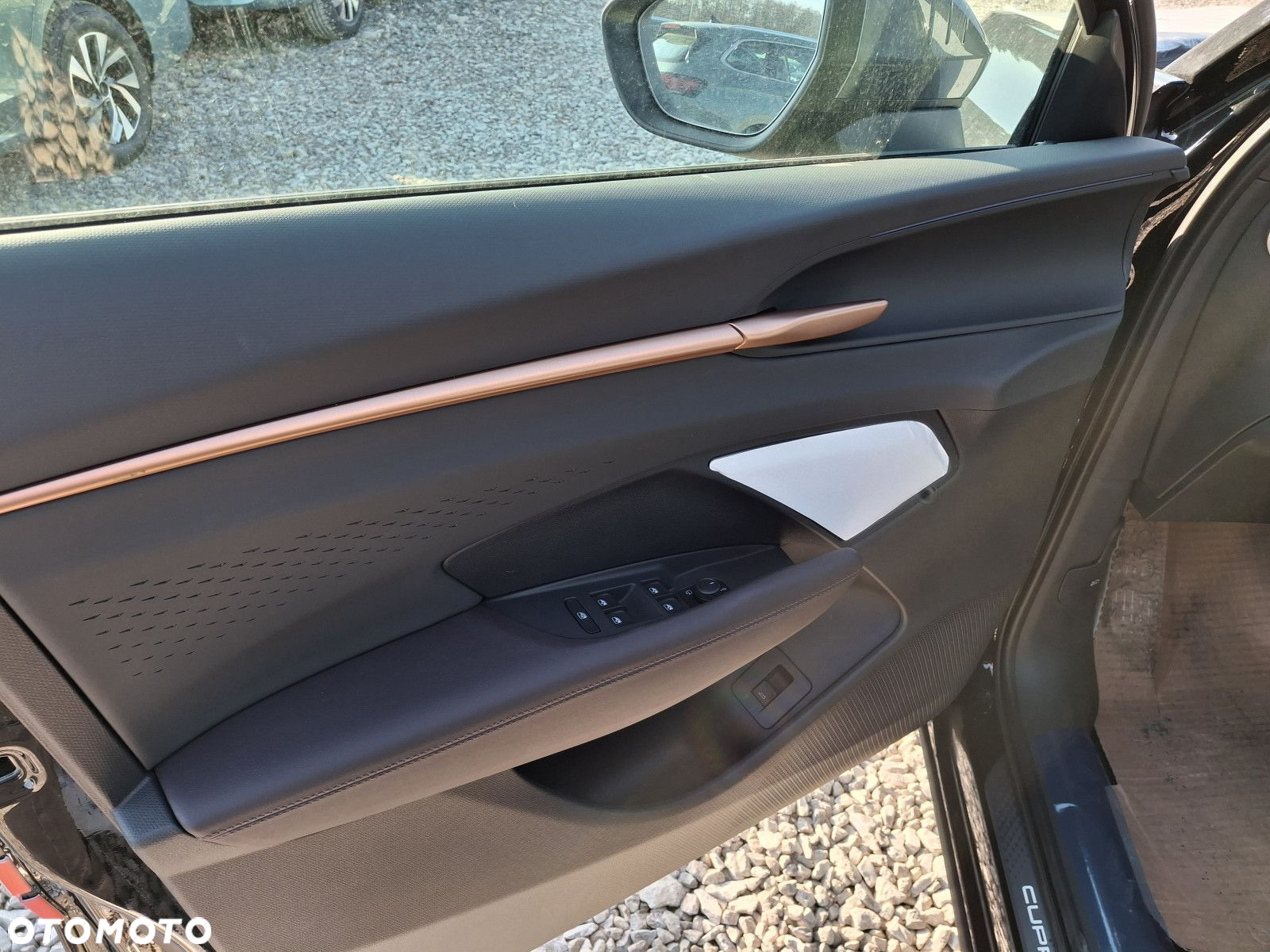 Cupra Terramar - 8