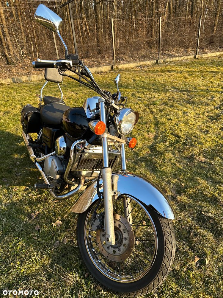 Honda Shadow - 5