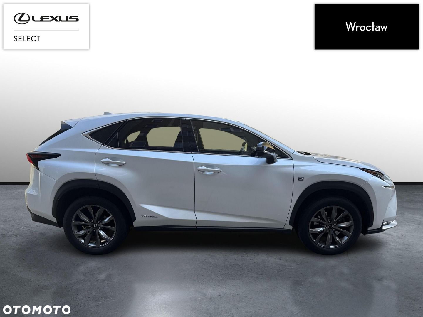 Lexus NX - 6