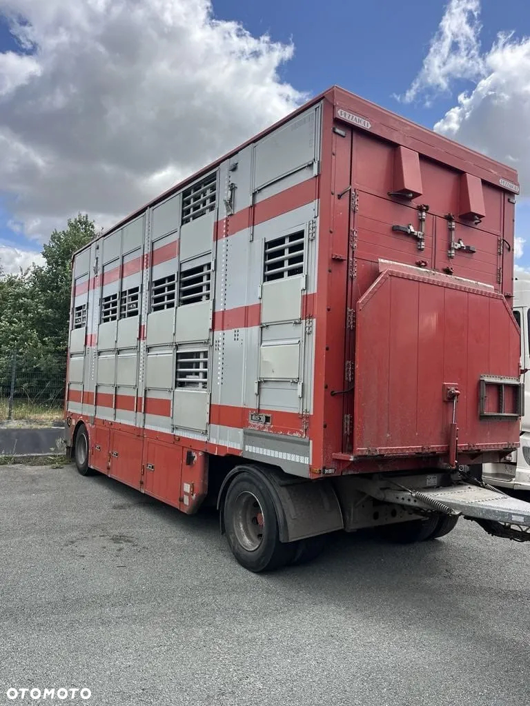 DAF XF 460 + Przyczepa Pezzaoli - 3X Trzoda, 2 X Bydło I 3 poziomy  I Podnoszony dach I Hydroburta I Osie Skrętne I Poidła I Wentylatory I Pilot Manualny | Euro5 - 3