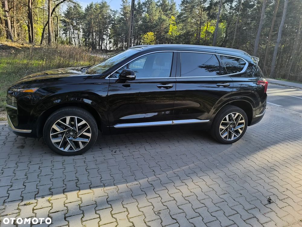 Hyundai Santa Fe - 19