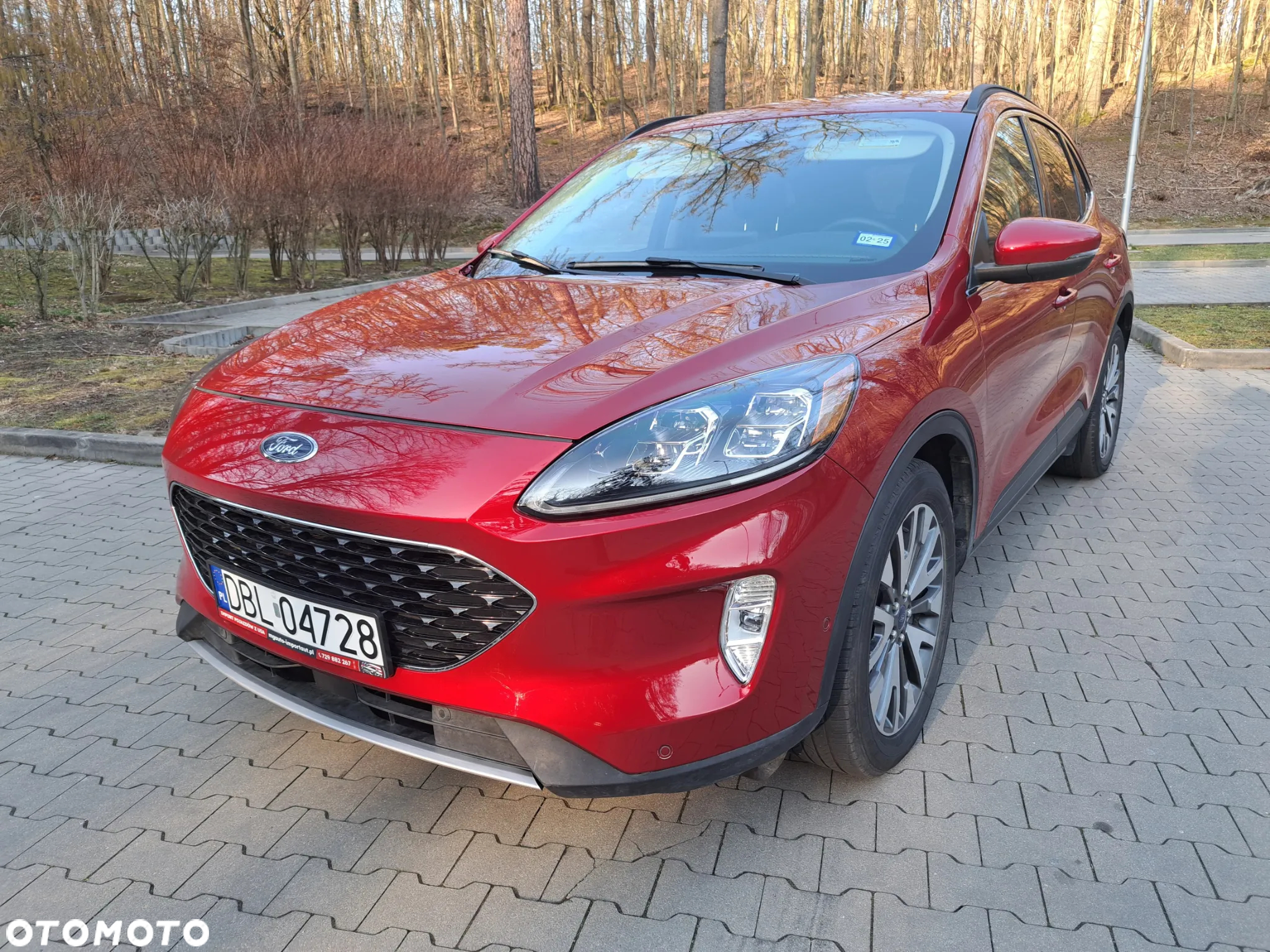 Ford Escape - 5