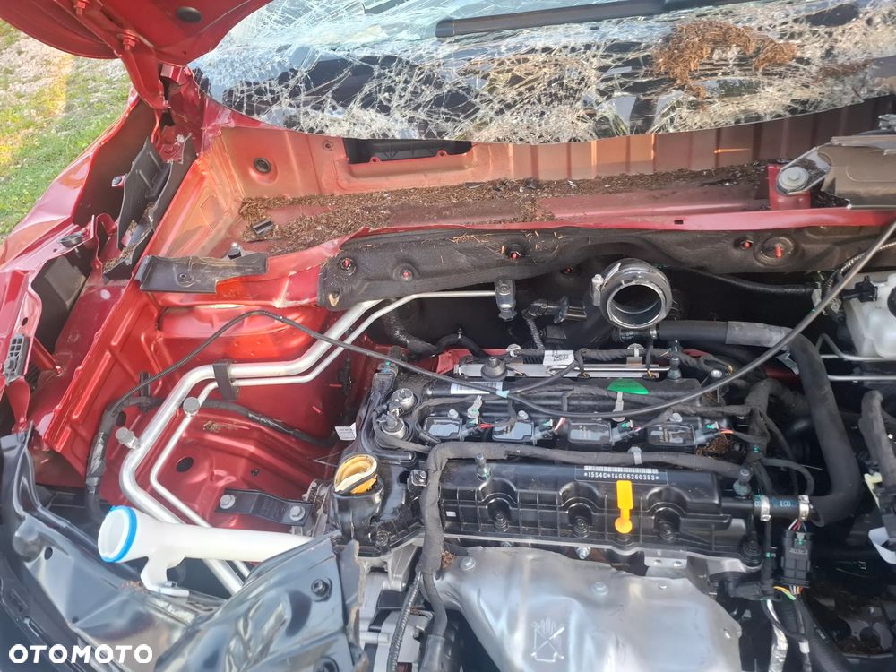 MG ZS - 12
