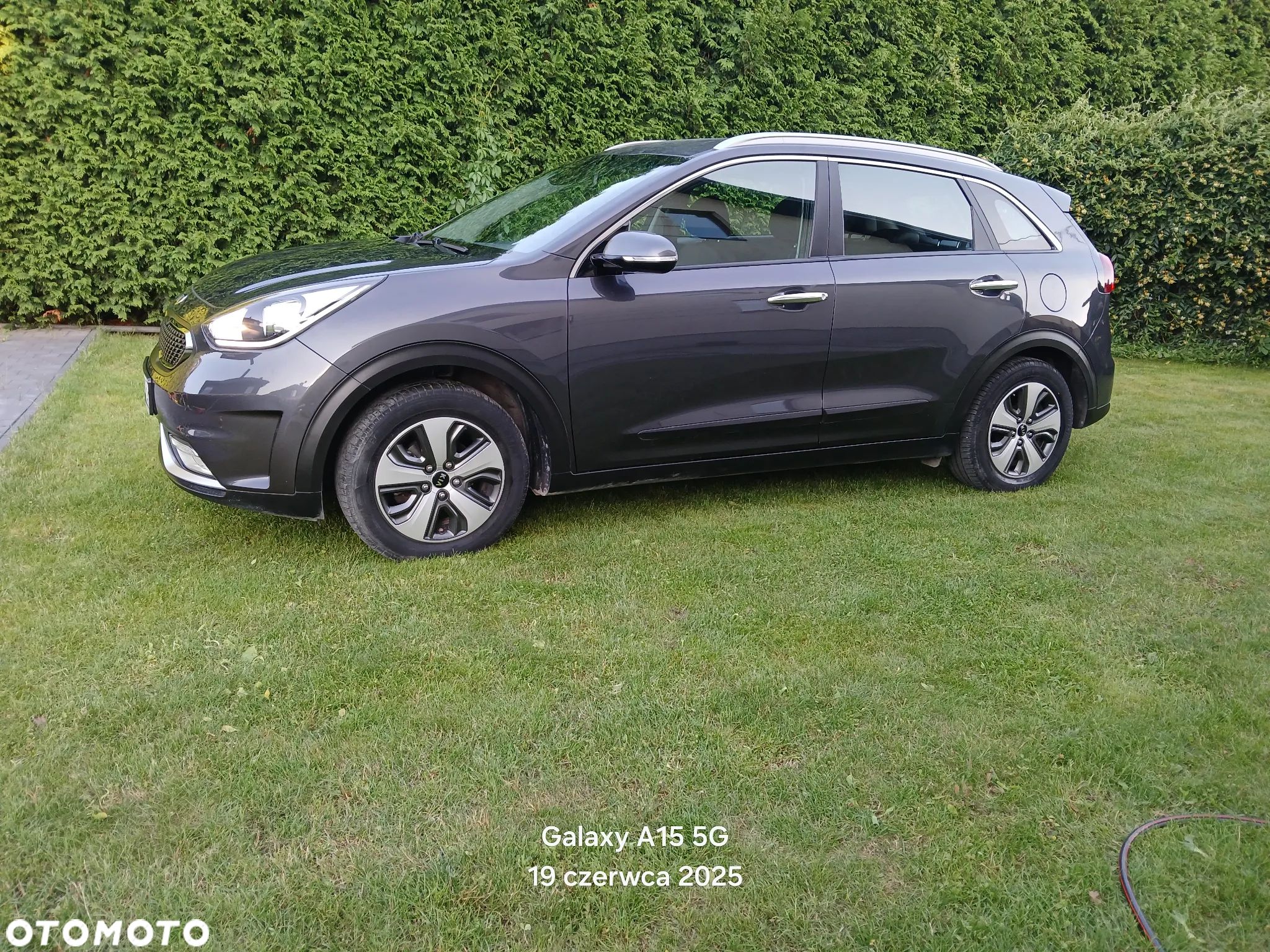 Kia Niro 1.6 GDI Hybrid Business Line - 1
