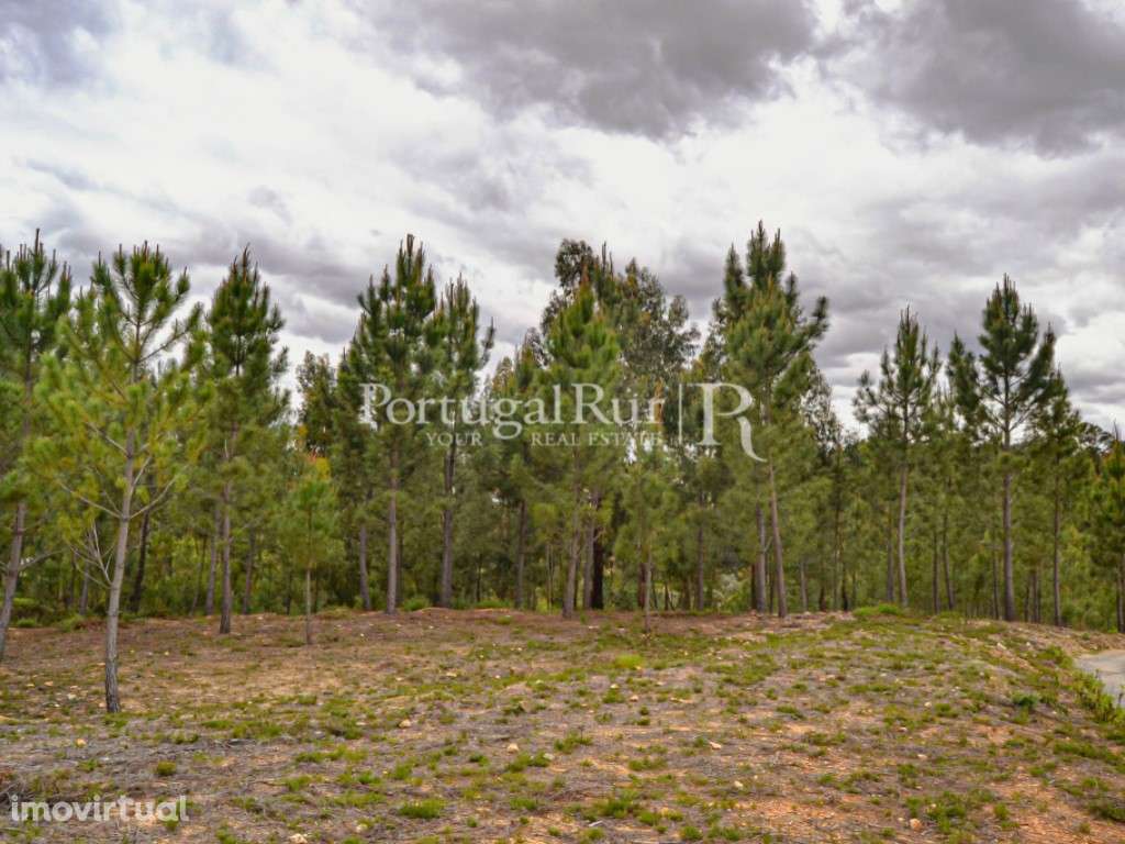 Lote Urbano de 1.340 m2 para Construção de Moradia - Grande imagem: 5/19