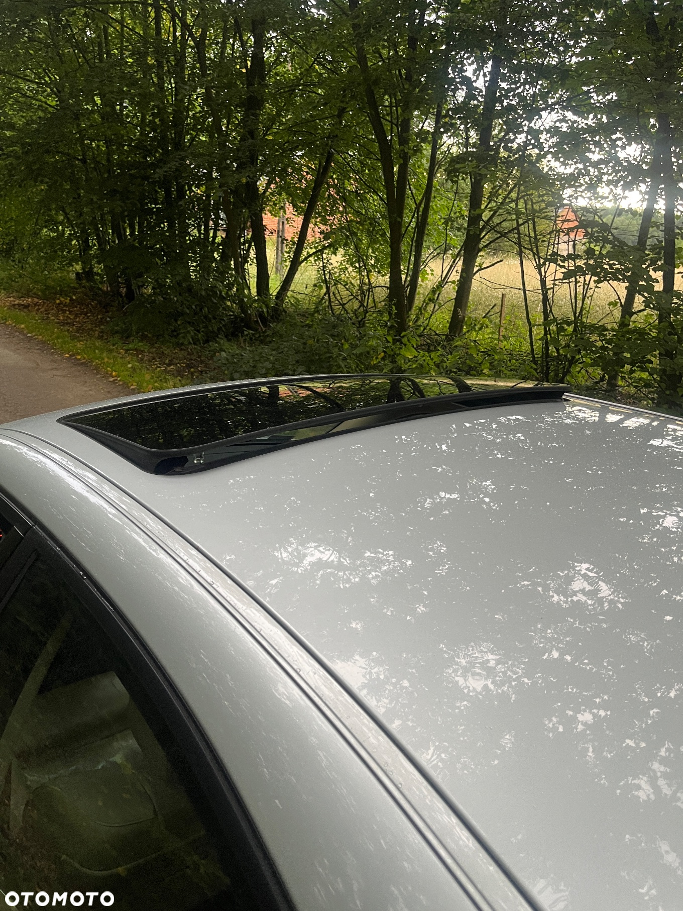 BMW Seria 5 - 12