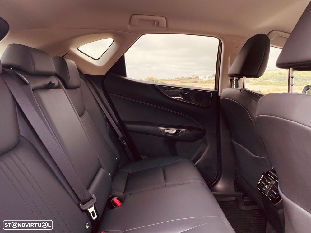 Lexus NX 450h+ Executive - 15
