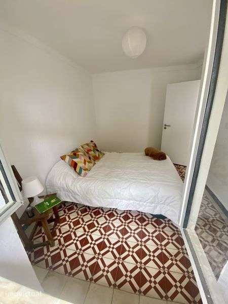 Vendo moradia dividida em 2 casas Alentejo Rio de moinhos- Borba - Grande imagem: 4/9