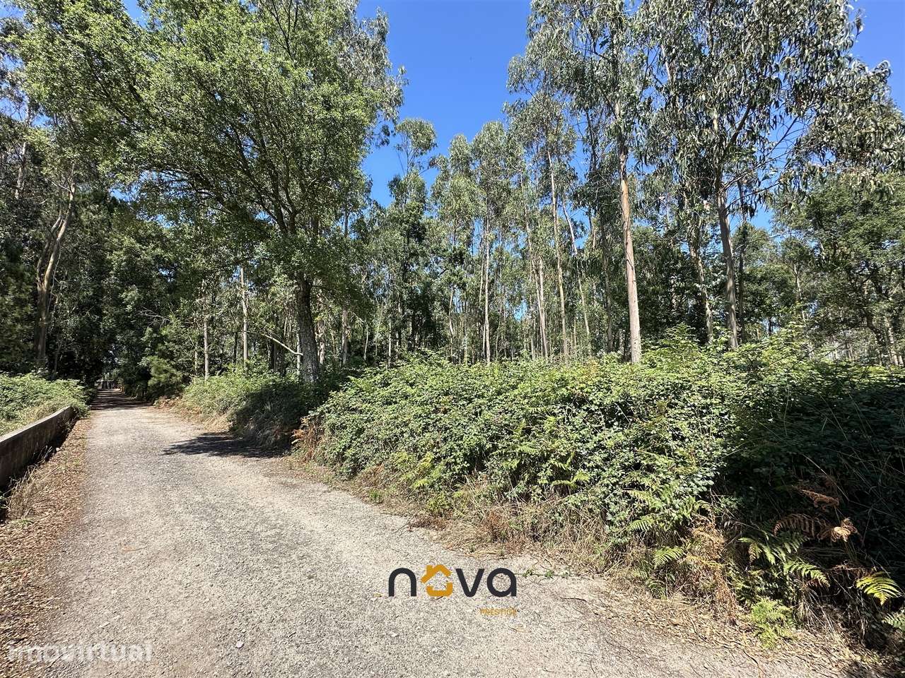 Terreno com 6100m2 em Gião, Vila do Conde NOVA Imobiliária - Grande imagem: 3/25