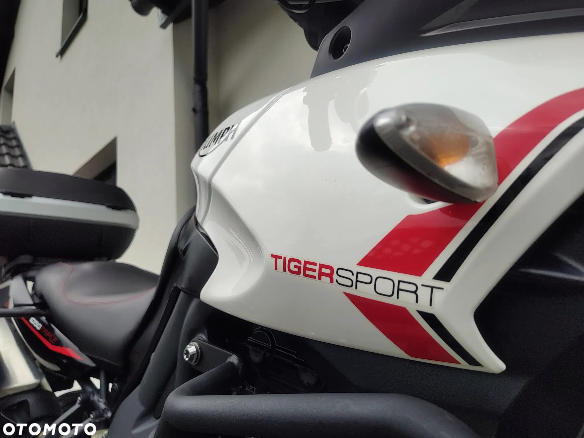 Triumph Tiger - 4
