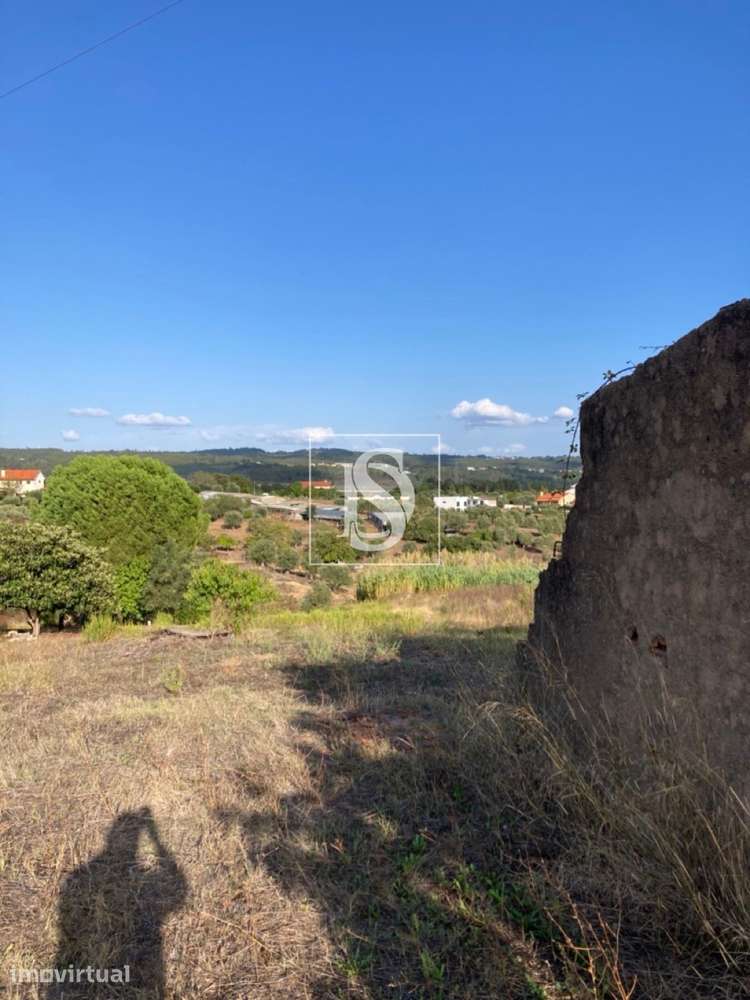 Moradia T3 Venda em Tomar (São João Baptista) e Santa Maria dos Olivai - Grande imagem: 4/10