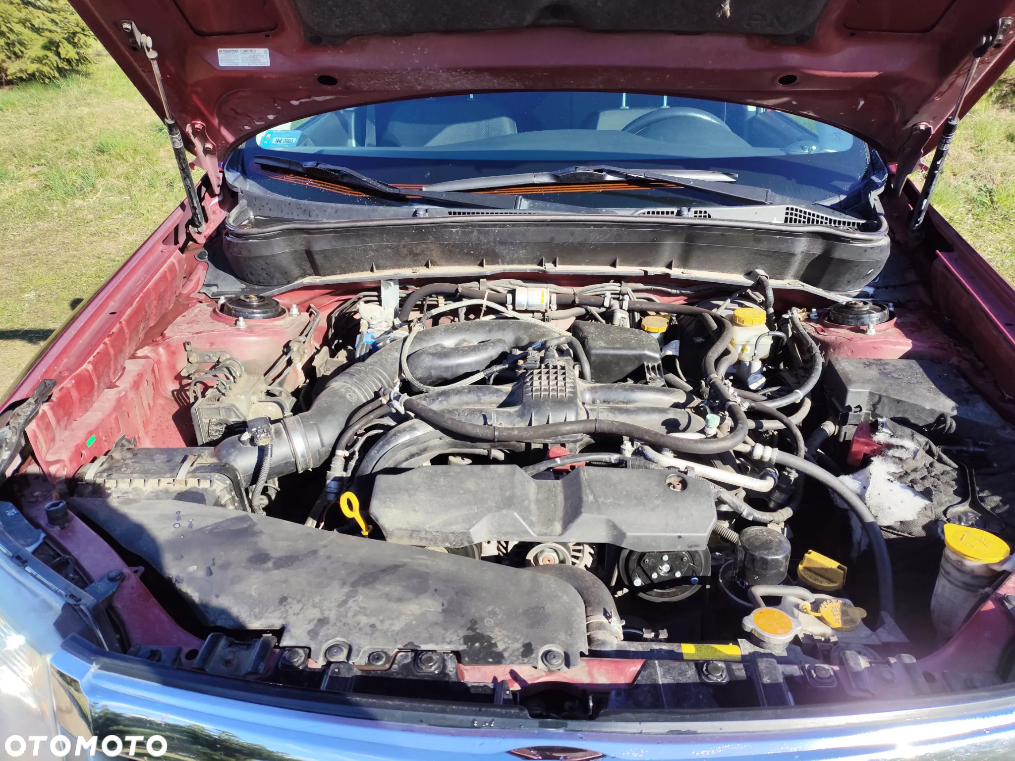 Subaru Forester - 8
