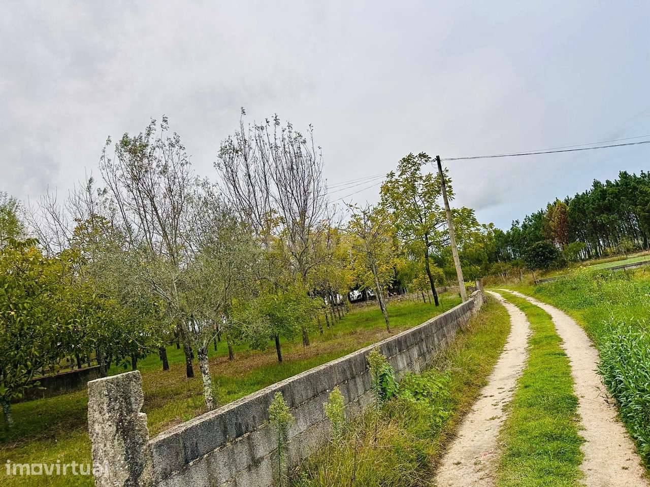 Dois artigos: Urbano com 498 m2 e terreno rústico com 1000 m2 em Vilar - Grande imagem: 2/14