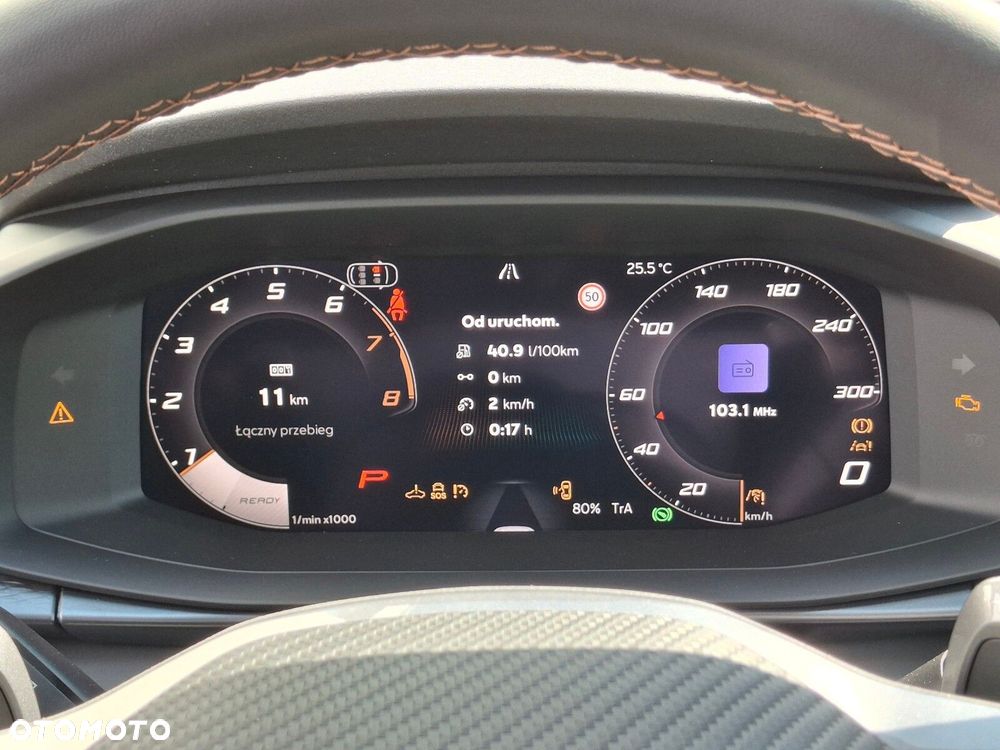 Cupra Terramar 2.0 TSI 4Drive DSG - 30