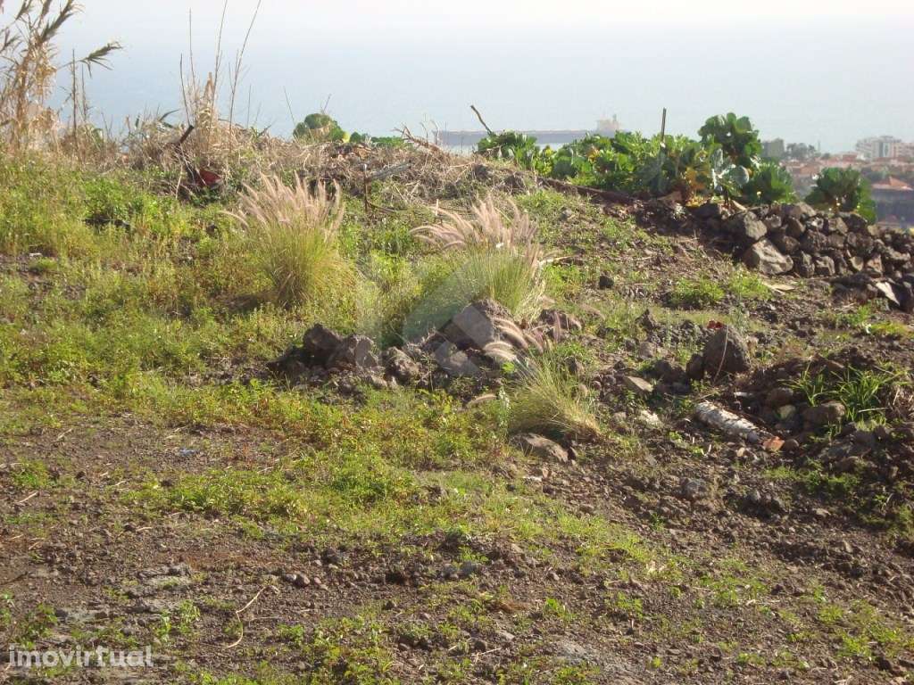 Lotes para construção - Localizado no Imaculado Coração de Maria, F... - Grande imagem: 3/3