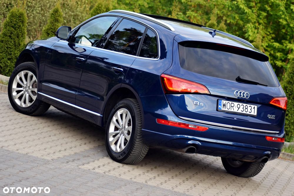Audi Q5 - 26