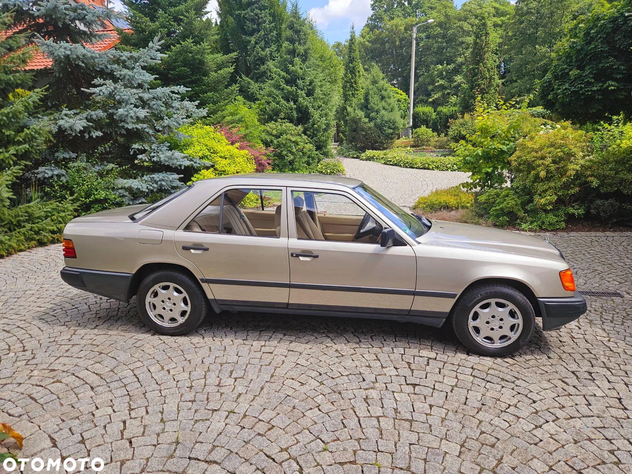 Mercedes-Benz W124 (1984-1993) - 2