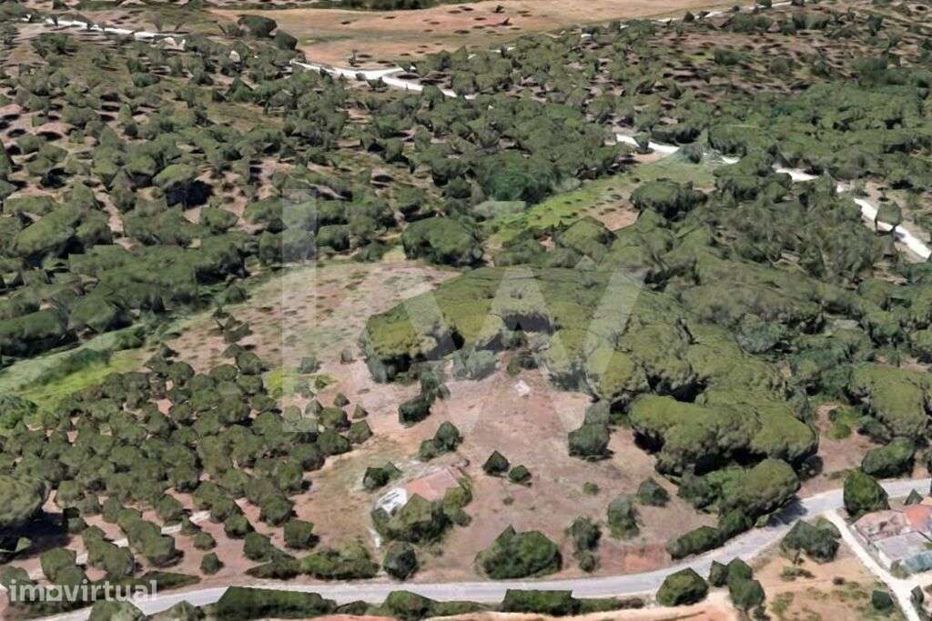 Terreno no Parque Natural da Arrábida - Grande imagem: 2/16