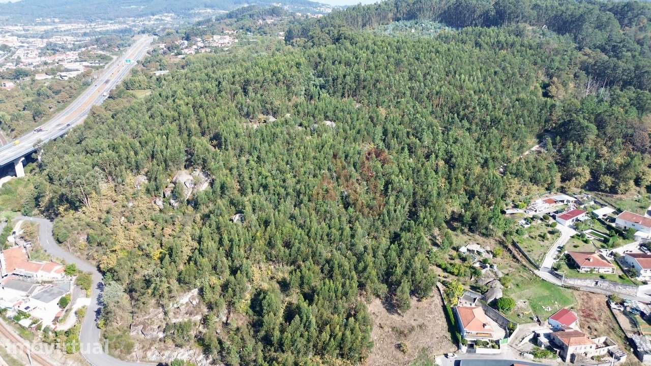 Terreno Florestal com 8.727 m² em Nespereira, Guimarães - Grande imagem: 4/6