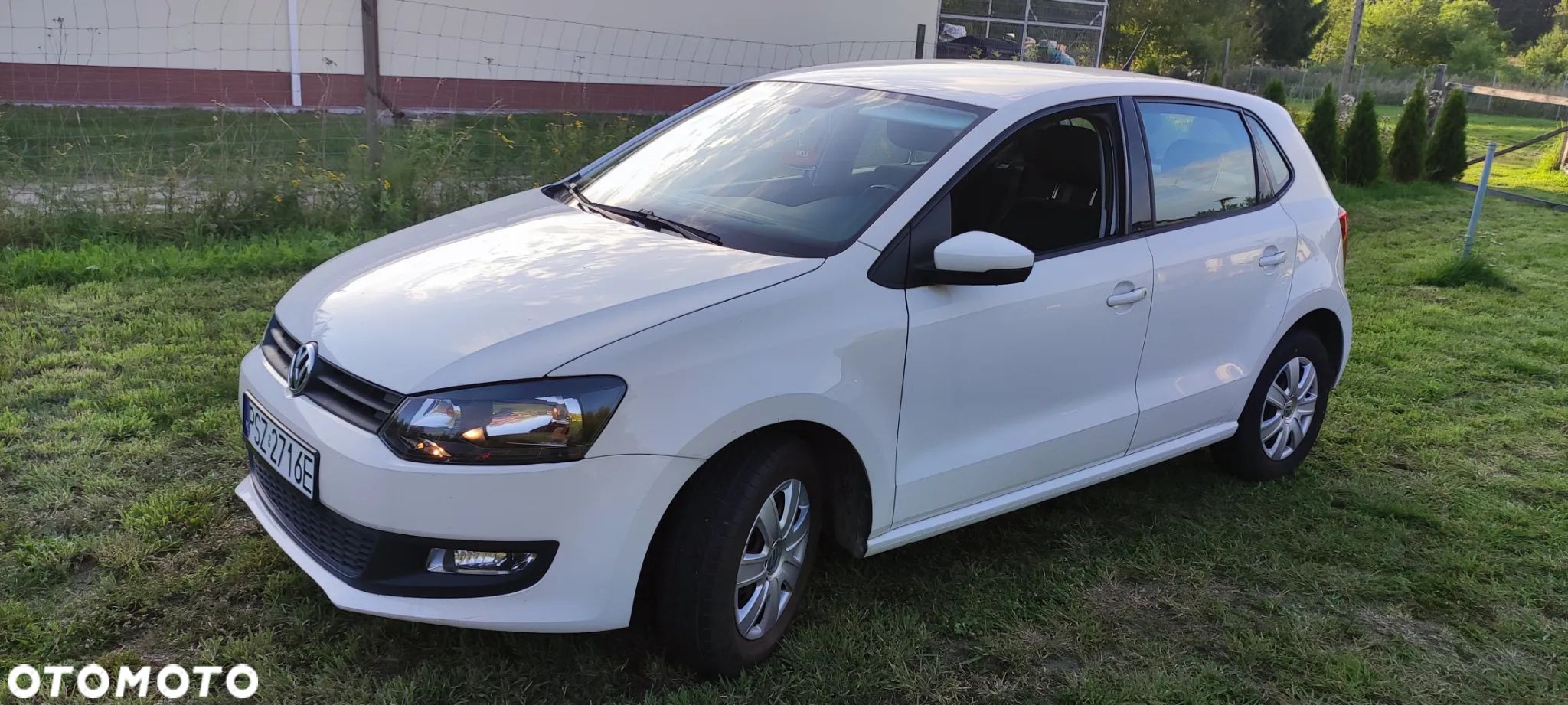 Volkswagen Polo 1.2 TDI Blue Motion 87g - 1